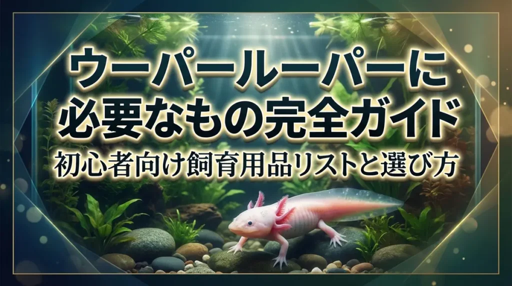 ウーパールーパーに必要なもの完全ガイド｜初心者向け飼育用品リストと選び方
