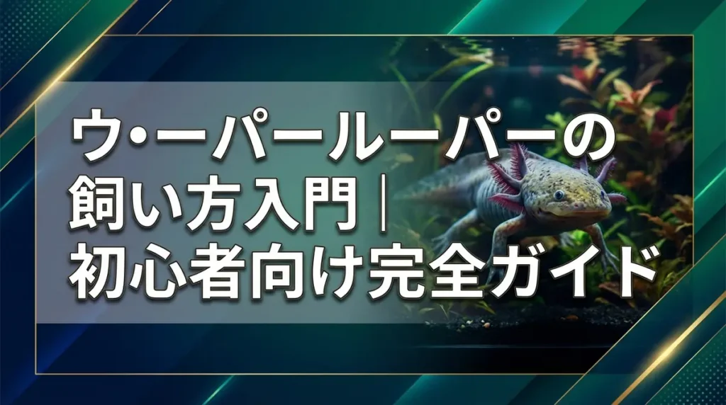 ウーパールーパーの飼い方入門｜初心者向け完全ガイド