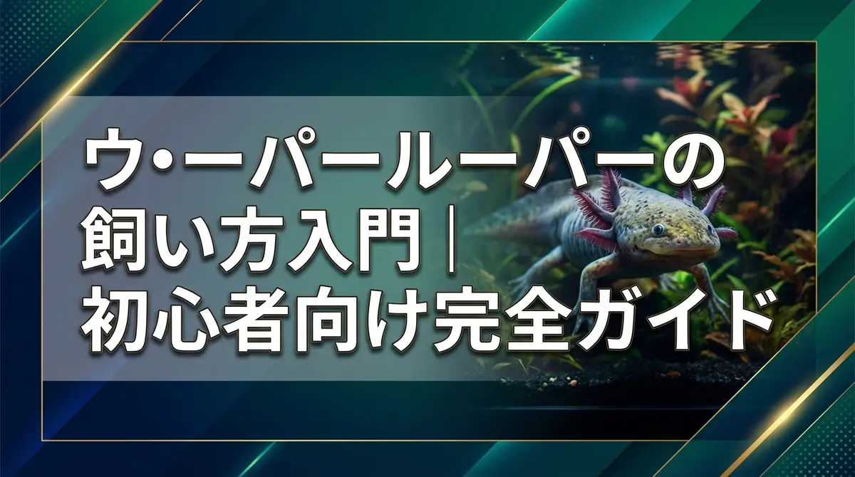 ウーパールーパーの飼い方入門｜初心者向け完全ガイド