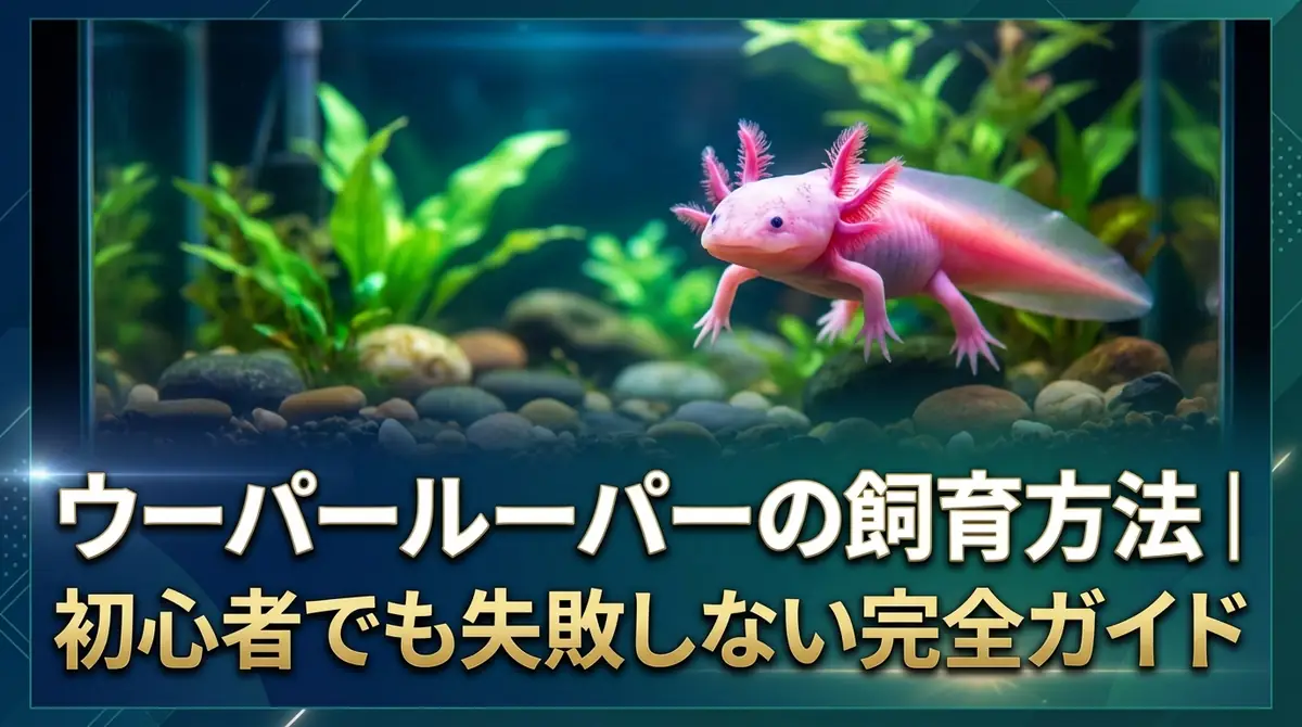 ウーパールーパーの飼育方法|初心者でも失敗しない完全ガイド