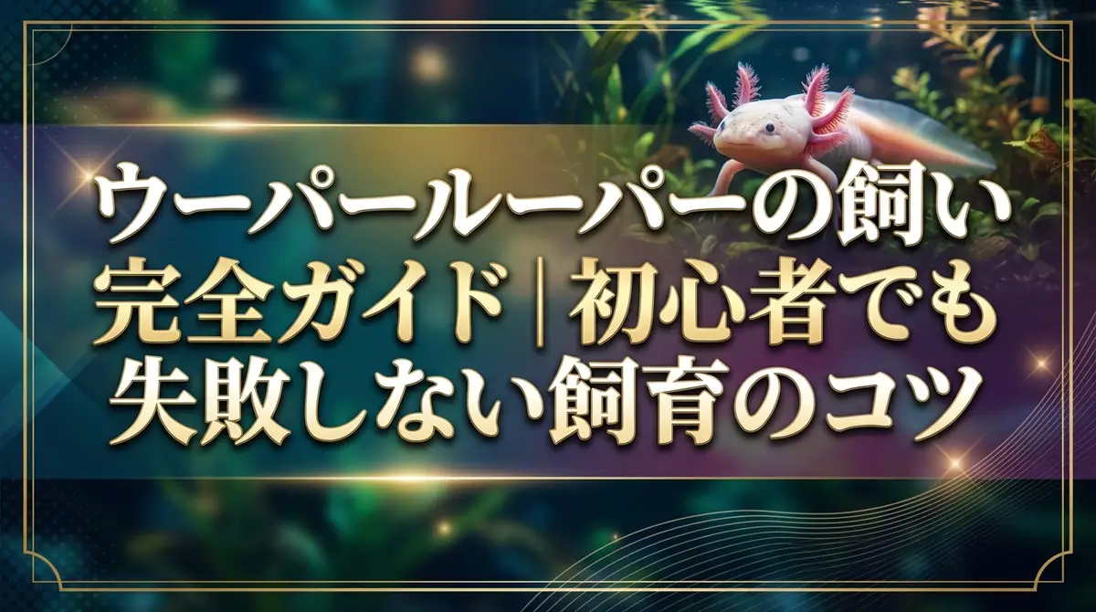 ウーパールーパーの飼い方完全ガイド｜初心者でも失敗しない飼育のコツ