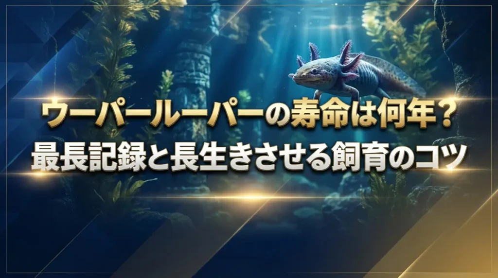 ウーパールーパーの寿命は何年？最長記録と長生きさせる飼育のコツ