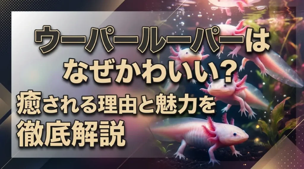 ウーパールーパーはなぜかわいい？癒される理由と魅力を徹底解説