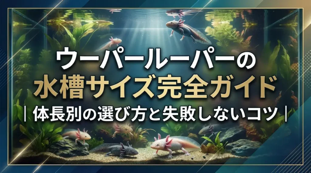 ウーパールーパーの水槽サイズ完全ガイド｜体長別の選び方と失敗しないコツ