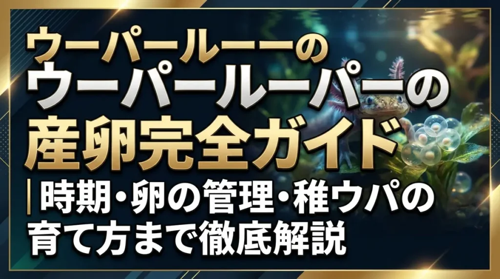ウーパールーパーの産卵完全ガイド｜時期・卵の管理・稚ウパの育て方まで徹底解説