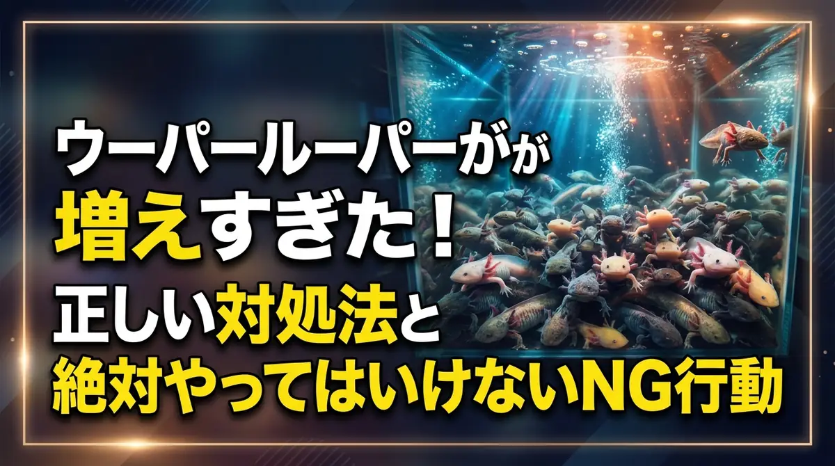 ウーパールーパーが増えすぎた！正しい対処法と絶対やってはいけないNG行動