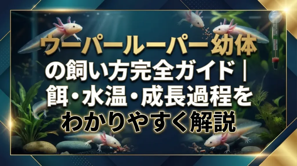 ウーパールーパー幼体の飼い方完全ガイド｜餌・水温・成長過程をわかりやすく解説