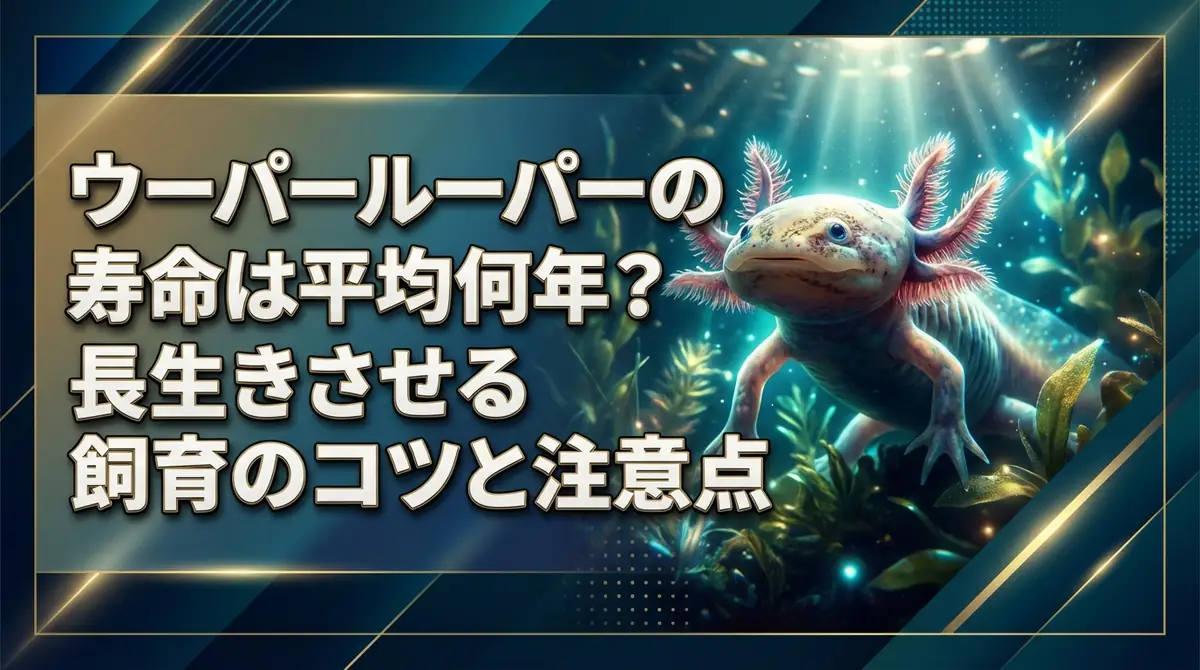 ウーパールーパーの寿命は平均何年?長生きさせる飼育のコツと注意点