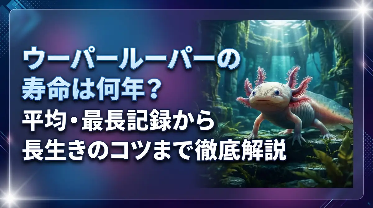 ウーパールーパーの寿命は何年？平均・最長記録から長生きのコツまで徹底解説