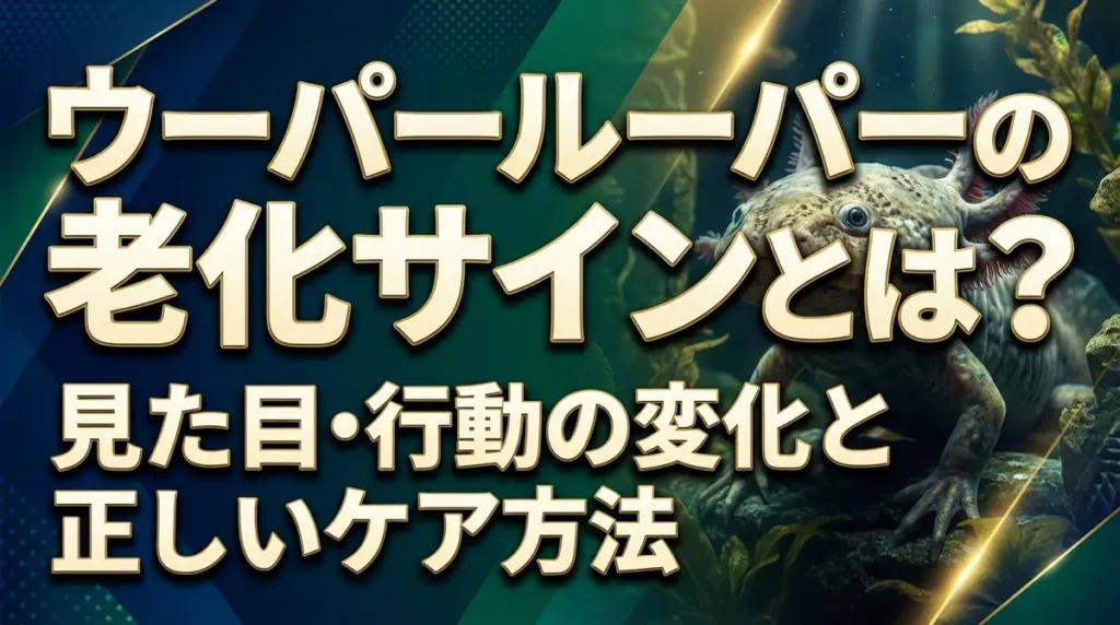 ウーパールーパーの老化サインとは？見た目・行動の変化と正しいケア方法
