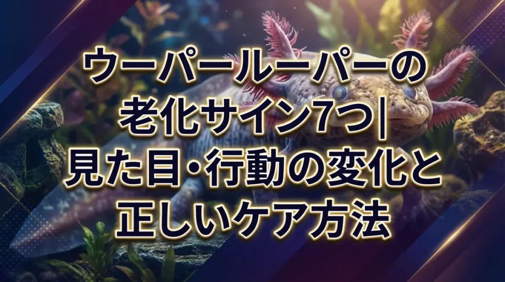 ウーパールーパーの老化サイン7つ｜見た目・行動の変化と正しいケア方法