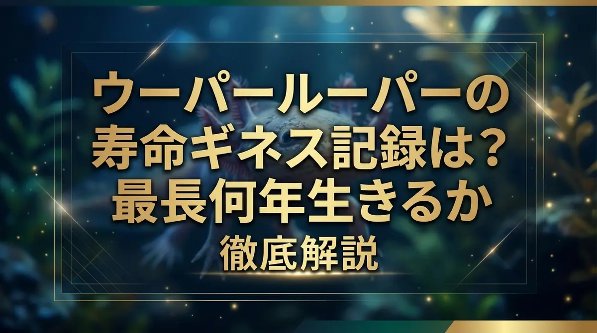 ウーパールーパーの寿命ギネス記録は?最長何年生きるか徹底解説
