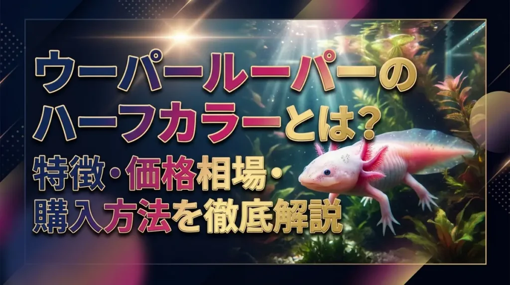 ウーパールーパーのハーフカラーとは？特徴・価格相場・購入方法を徹底解説