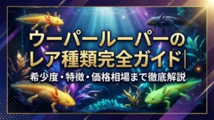 ウーパールーパーのレア種類完全ガイド｜希少度・特徴・価格相場まで徹底解説