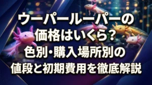 ウーパールーパーの価格はいくら？色別・購入場所別の値段と初期費用を徹底解説