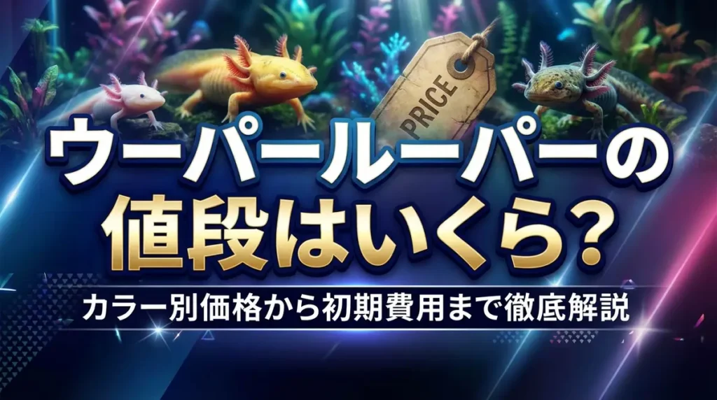 ウーパールーパーの値段はいくら？カラー別価格から初期費用まで徹底解説