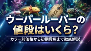 ウーパールーパーの値段はいくら？カラー別価格から初期費用まで徹底解説