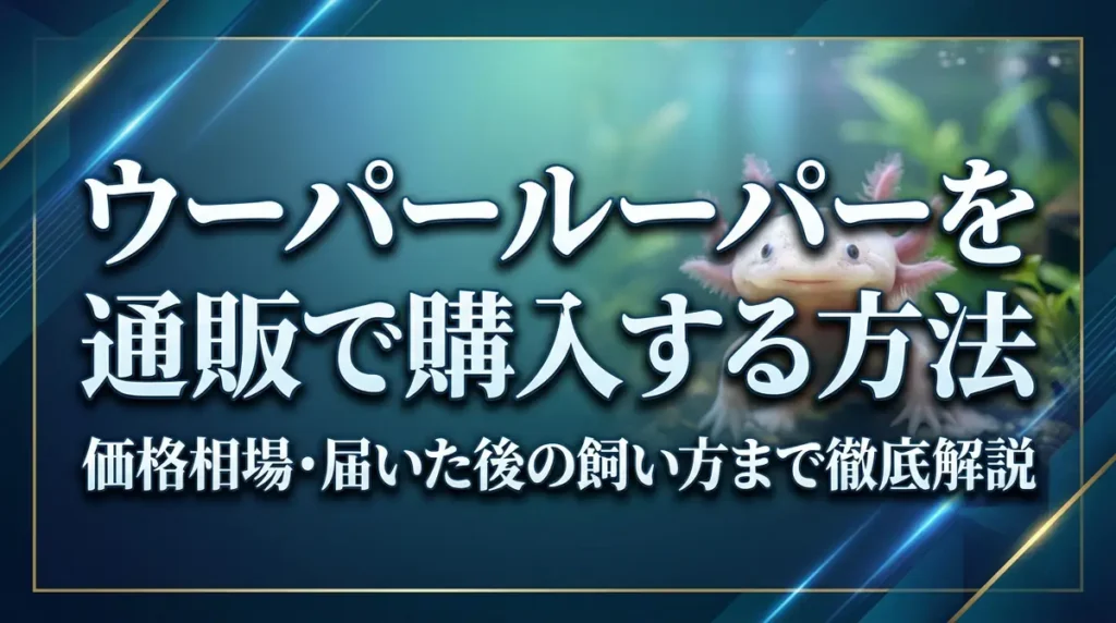 ウーパールーパーを通販で購入する方法｜価格相場・届いた後の飼い方まで徹底解説
