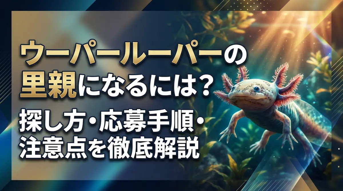 ウーパールーパーの里親になるには?探し方・応募手順・注意点を徹底解説