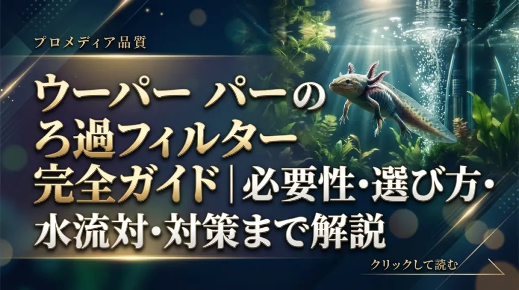 ウーパールーパーのろ過フィルター完全ガイド｜必要性・選び方・水流対策まで解説