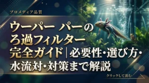 ウーパールーパーのろ過フィルター完全ガイド｜必要性・選び方・水流対策まで解説