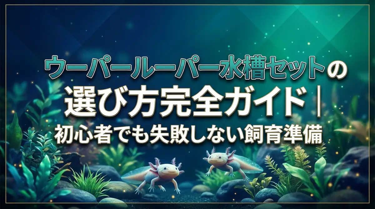 ウーパールーパー水槽セットの選び方完全ガイド|初心者でも失敗しない飼育準備