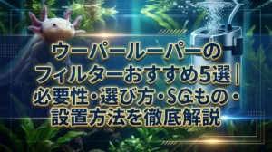 ウーパールーパーのフィルターおすすめ5選｜必要性・選び方・設置方法を徹底解説