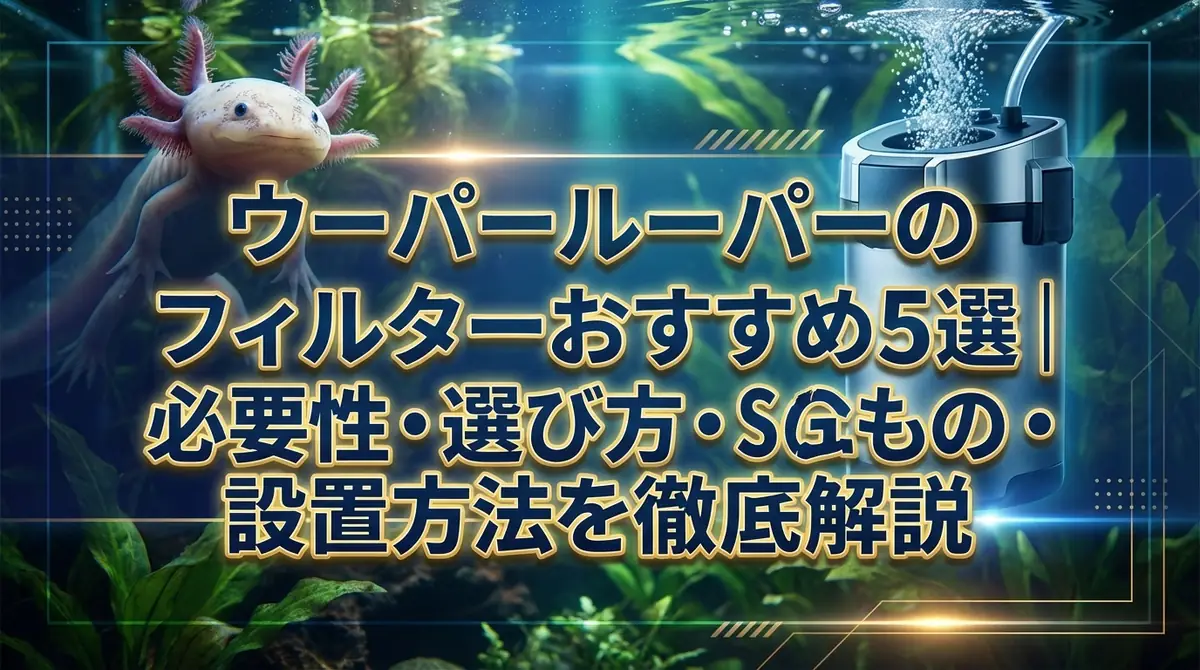 ウーパールーパーのフィルターおすすめ5選｜必要性・選び方・設置方法を徹底解説