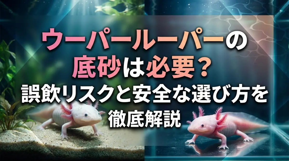 ウーパールーパーの底砂は必要?誤飲リスクと安全な選び方を徹底解説