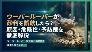 ウーパールーパーが砂利を誤飲したら？原因・危険性・予防策を徹底解説