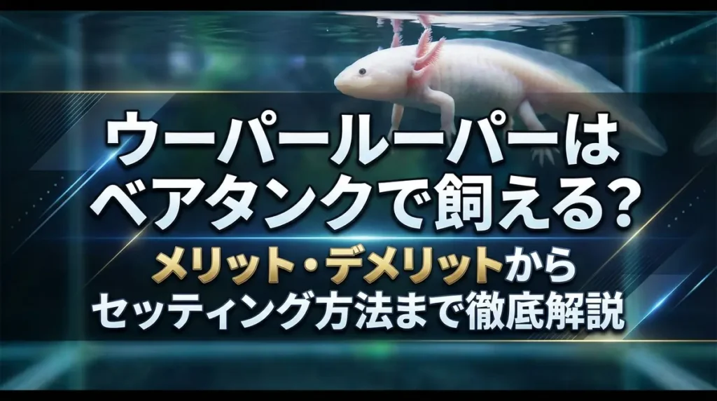 ウーパールーパーはベアタンクで飼える？メリット・デメリットからセッティング方法まで徹底解説