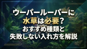 ウーパールーパーに水草は必要？おすすめ種類と失敗しない入れ方を解説