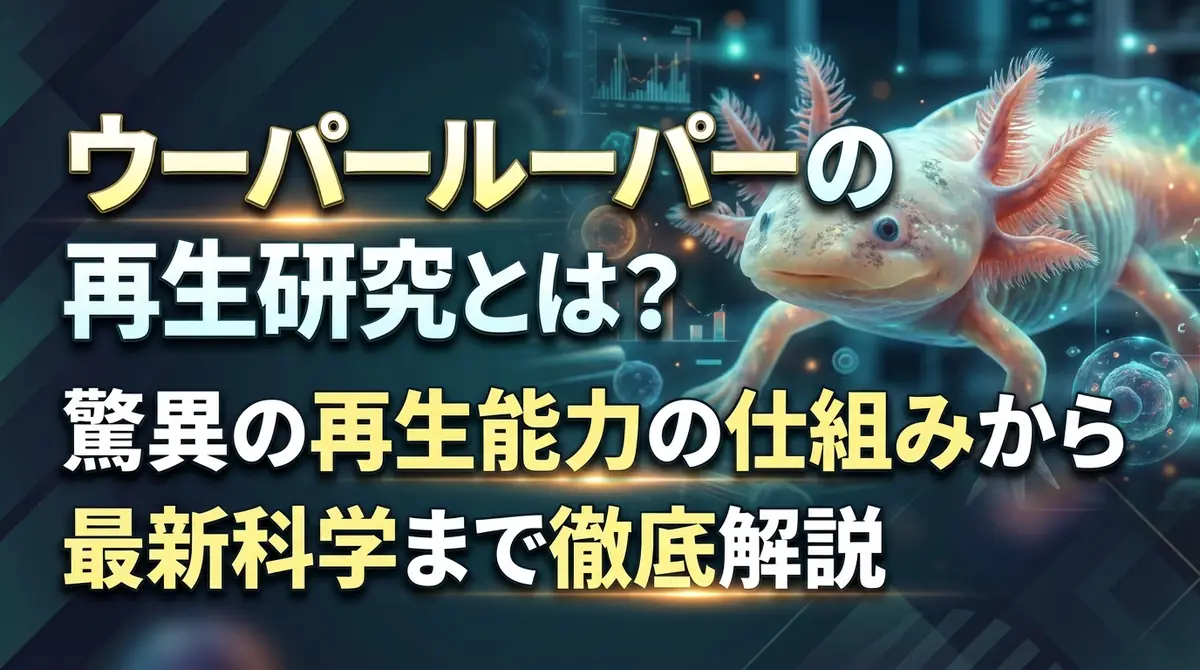 ウーパールーパーの再生研究とは?驚異の再生能力の仕組みから最新科学まで徹底解説